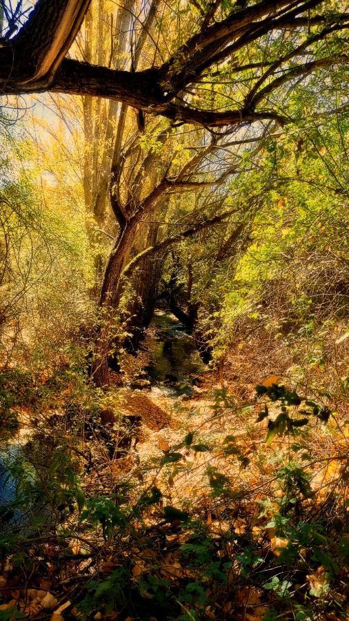 Alojamiento Rural Los Gancheros تراجاسيتي المظهر الخارجي الصورة