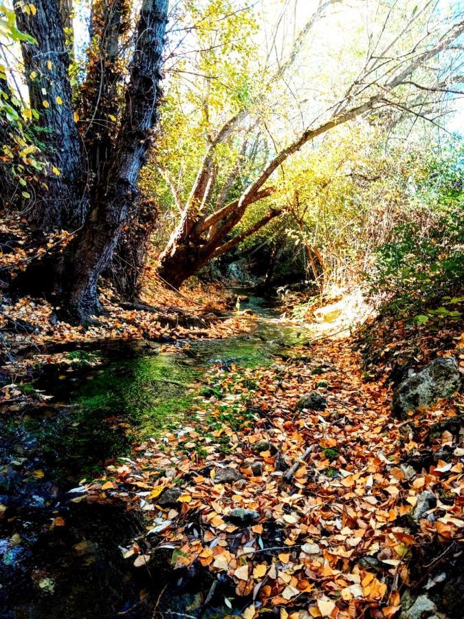 Alojamiento Rural Los Gancheros تراجاسيتي المظهر الخارجي الصورة