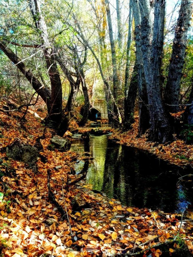 Alojamiento Rural Los Gancheros تراجاسيتي المظهر الخارجي الصورة