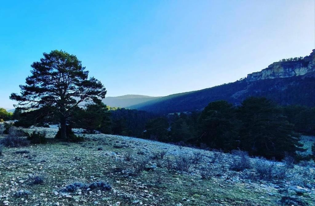 Alojamiento Rural Los Gancheros تراجاسيتي المظهر الخارجي الصورة